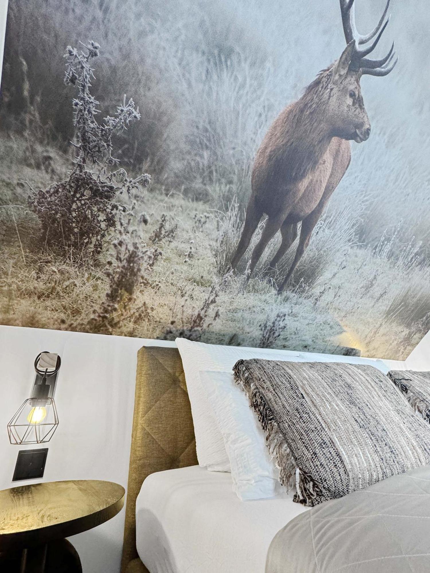 Cblue: Seeblick, Kamin, Wallbox, Natur Bentwisch Exteriör bild