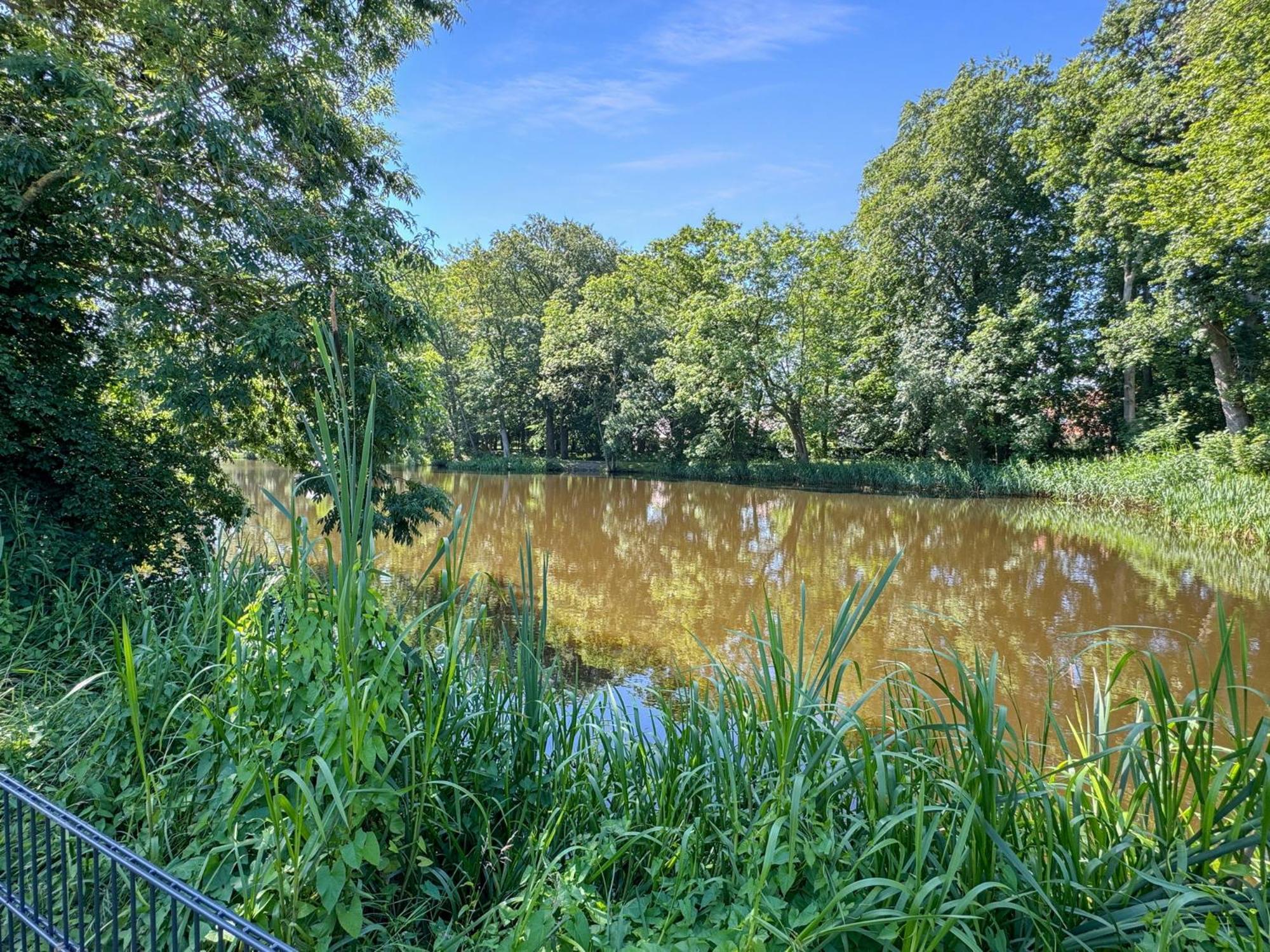 Cblue: Seeblick, Kamin, Wallbox, Natur Bentwisch Exteriör bild